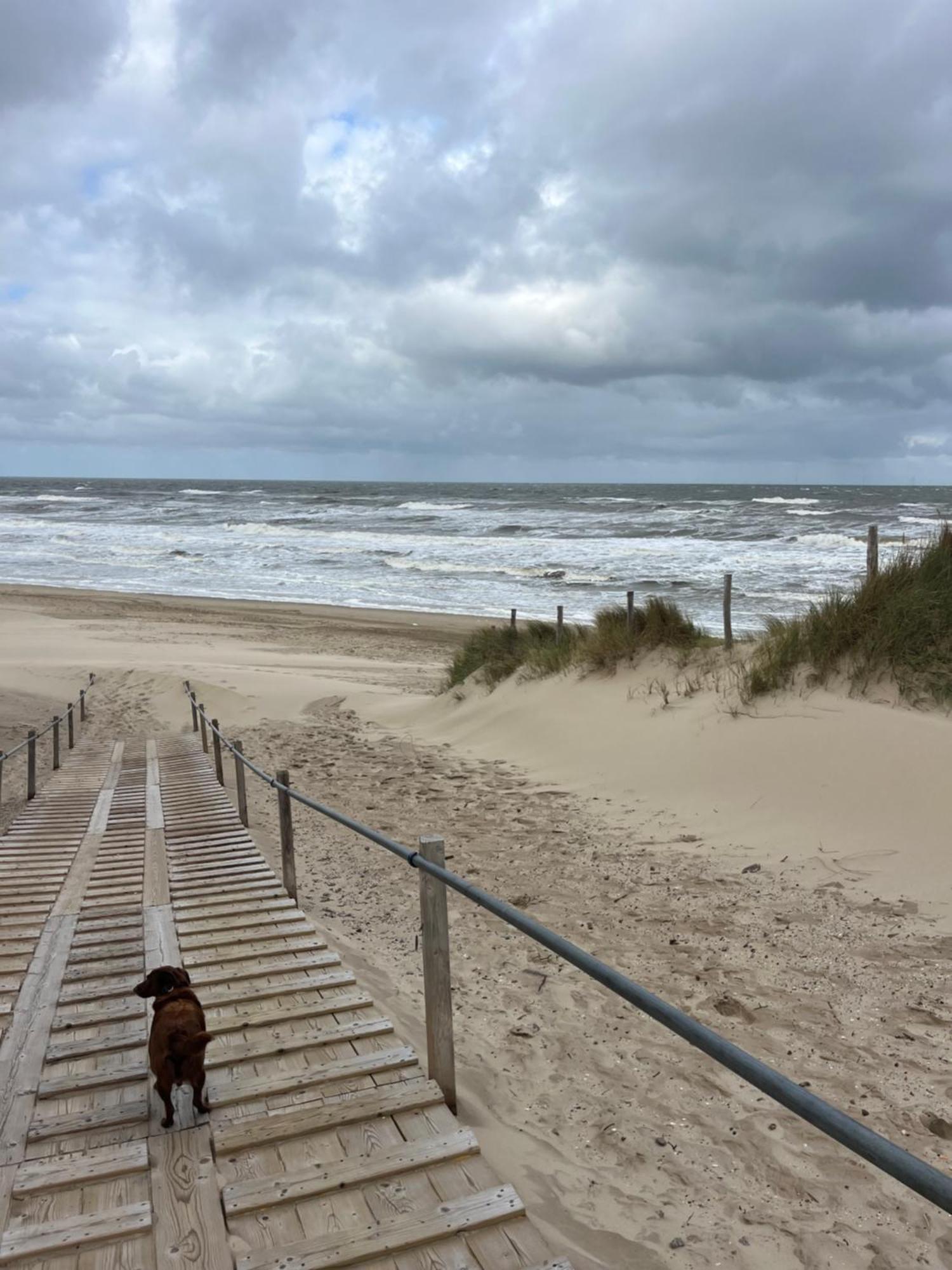 Huize Louwra Villa Egmond-Binnen Kültér fotó